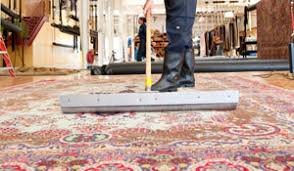 The Role of Professional Rug Cleaning in Allergy Prevention and Rug Preservation