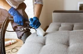 Quick and Reliable: The 5 Best Upholstery Cleaning Services in Brooklyn