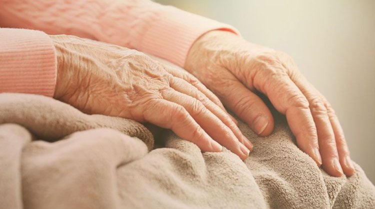 Best Palliative Care in Houston, TX: What to Look For