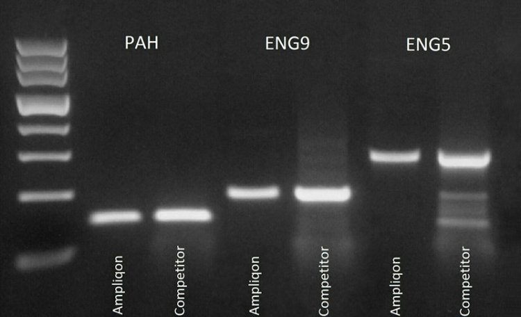 Choosing the Right PCR Tools: Amerigo Scientific Introducing PCR Enzymes and Reagents to Deliver Improved Outcomes