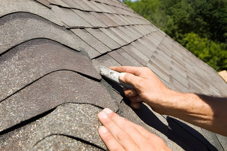 Roof Cleaning and Moss Removal in Surrey: A Complete Guide