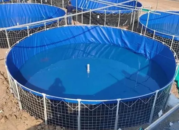 PVC Tarpaulin Fish Tanks: Your Guide to Biofloc Farming