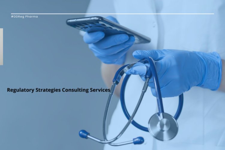 Regulatory Strategies Consulting Services