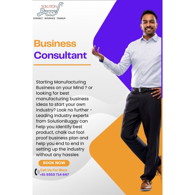 Business Management Consultant