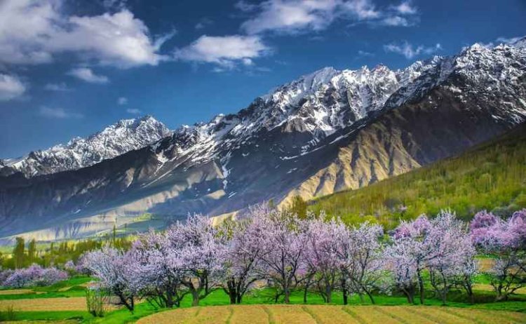 Skardu Travel and Tour: Your Trusted Partner for Unforgettable Adventures