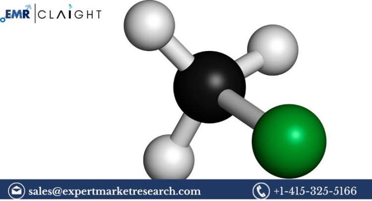 Methyl Mercaptan Market Size, Share & Trends 2025-2034