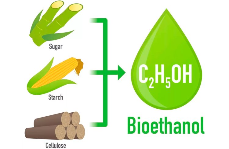 E10 and E15 Bioethanol Blends Dominate the Fuel Market: What’s Next?